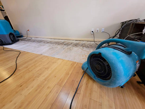 Professional Water Extraction technician working in Derby, CO